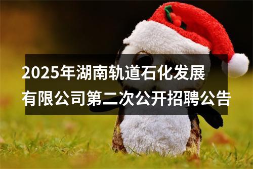 2025年湖南轨道石化发展有限公司第二次公开招聘公告 图片