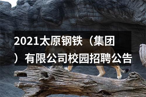 2021太原钢铁（集团）有限公司校园招聘公告 图片