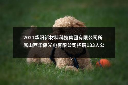 2021华阳新材料科技集团有限公司所属山西华储光电有限公司招聘133人公告 图片