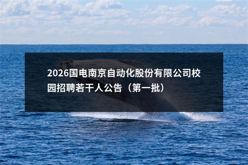 2026国电南京自动化股份有限公司校园招聘若干人公告（第一批）                进入阅读模式 图片