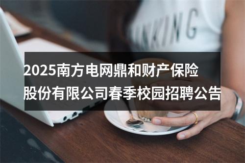 2025南方电网鼎和财产保险股份有限公司春季校园招聘公告 图片