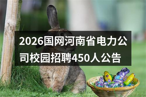 2026国网河南省电力公司校园招聘450人公告 图片