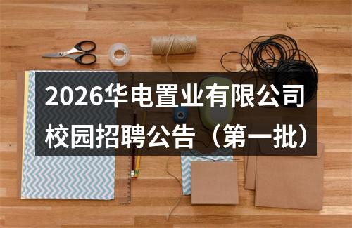 2026华电置业有限公司校园招聘公告（第一批） 图片