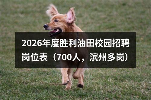 2026年度胜利油田校园招聘岗位表（700人，滨州多岗） 图片