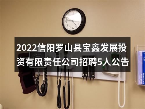 2022信阳罗山县宝鑫发展投资有限责任公司招聘5人公告 图片