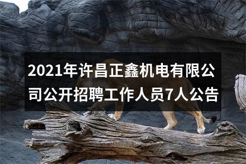 2021年许昌正鑫机电有限公司公开招聘工作人员7人公告 图片