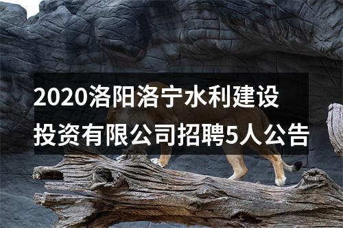2020洛阳洛宁水利建设投资有限公司招聘5人公告 图片