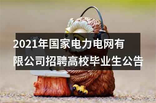 2021年国家电力电网有限公司招聘高校毕业生公告 图片