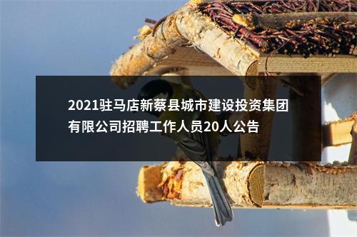 2021驻马店新蔡县城市建设投资集团有限公司招聘工作人员20人公告 图片