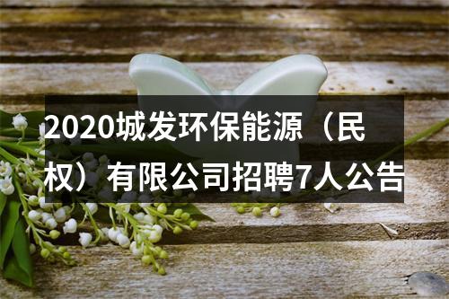 2020城发环保能源（民权）有限公司招聘7人公告 图片