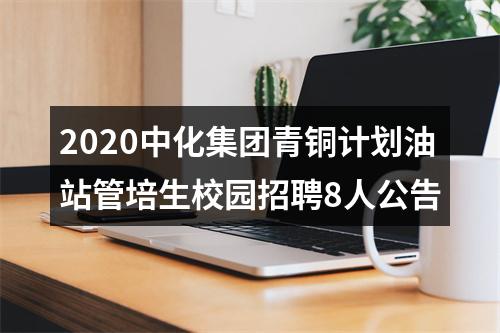 2020中化集团青铜计划油站管培生校园招聘8人公告 图片