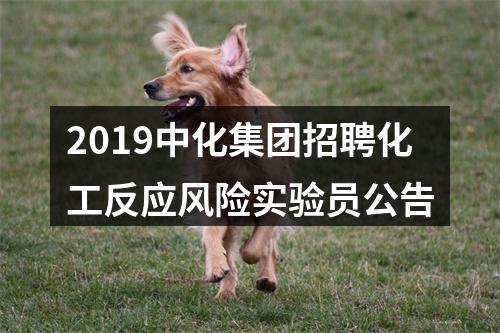 2019中化集团招聘化工反应风险实验员公告 图片