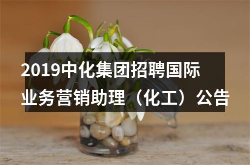 2019中化集团招聘国际业务营销助理（化工）公告 图片