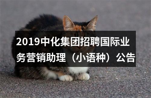 2019中化集团招聘国际业务营销助理（小语种）公告 图片