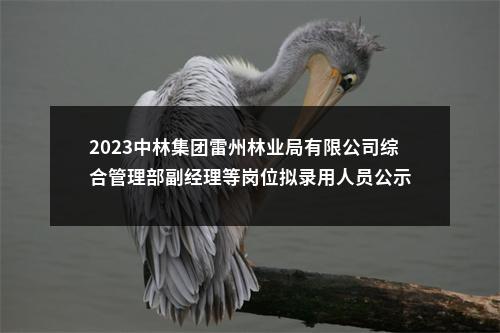 2023中林集团雷州林业局有限公司综合管理部副经理等岗位拟录用人员公示 图片