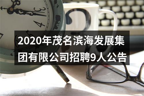 2020年茂名滨海发展集团有限公司招聘9人公告 图片