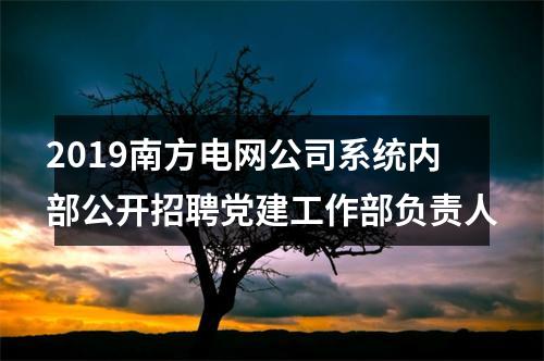 2019南方电网公司系统内部公开招聘党建工作部负责人 图片