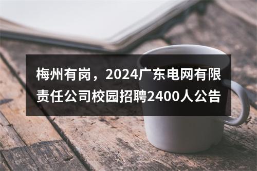梅州有岗，2024广东电网有限责任公司校园招聘2400人公告 图片