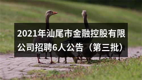 2021年汕尾市金融控股有限公司招聘6人公告（第三批） 图片