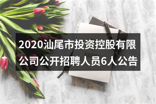 2020汕尾市投资控股有限公司公开招聘人员6人公告 图片