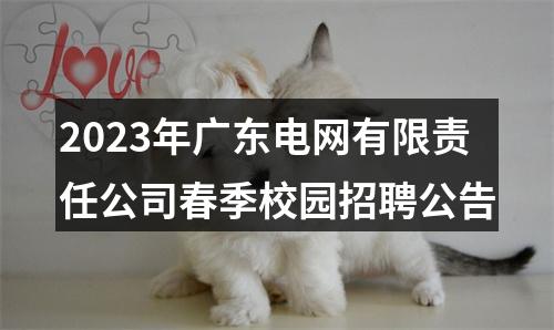 2023年广东电网有限责任公司春季校园招聘公告 图片