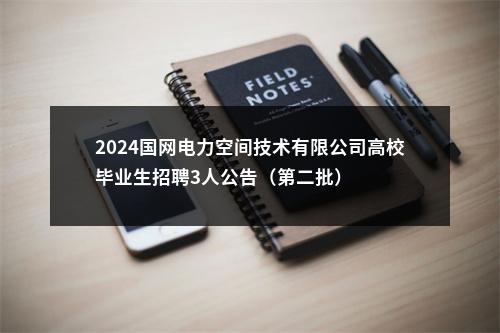2024国网电力空间技术有限公司高校毕业生招聘3人公告（第二批） 图片