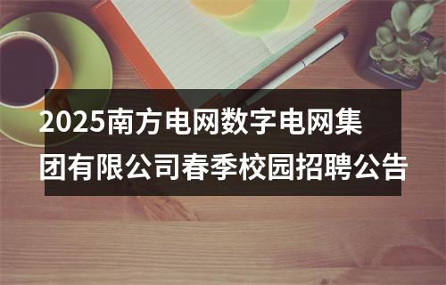 2025南方电网数字电网集团有限公司春季校园招聘公告 图片