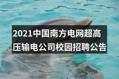 2021中国南方电网超高压输电公司校园招聘公告 图片