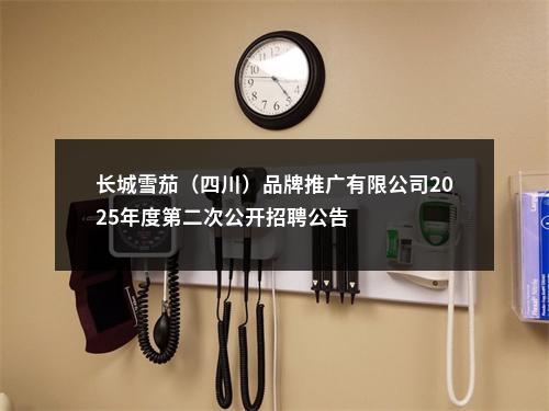 长城雪茄（四川）品牌推广有限公司2025年度第二次公开招聘公告 图片