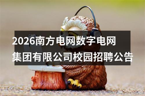 2026南方电网数字电网集团有限公司校园招聘公告 图片