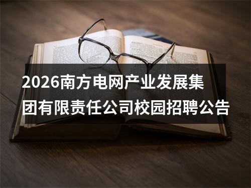 2026南方电网产业发展集团有限责任公司校园招聘公告 图片
