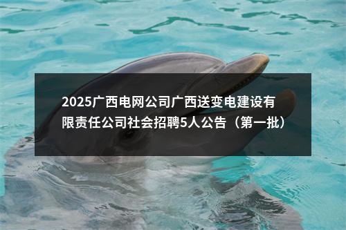 2025广西电网公司广西送变电建设有限责任公司社会招聘5人公告（第一批） 图片