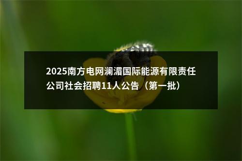 2025南方电网澜湄国际能源有限责任公司社会招聘11人公告（第一批） 图片