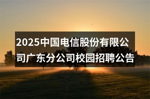 2025中国电信股份有限公司广东分公司校园招聘公告 图片