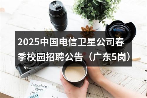 2025中国电信卫星公司春季校园招聘公告（广东5岗） 图片