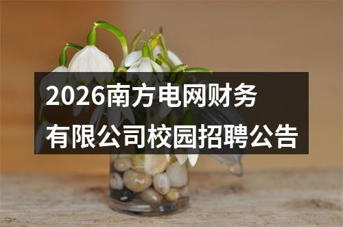 2026南方电网财务有限公司校园招聘公告 图片