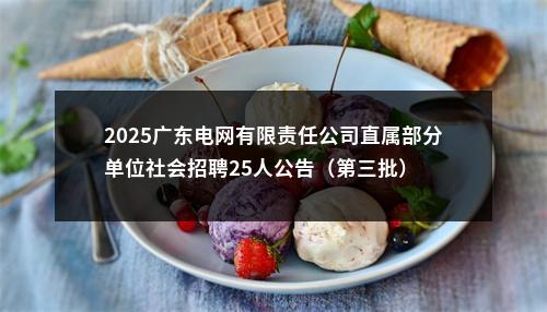 2025广东电网有限责任公司直属部分单位社会招聘25人公告（第三批） 图片