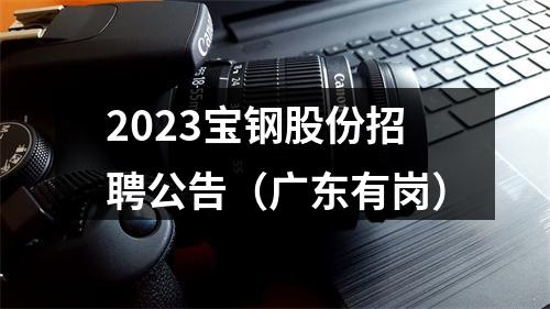2023宝钢股份招聘公告（广东有岗） 图片