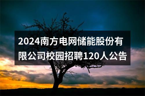 2024南方电网储能股份有限公司校园招聘120人公告 图片