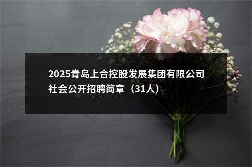 2025青岛上合控股发展集团有限公司社会公开招聘简章（31人） 图片