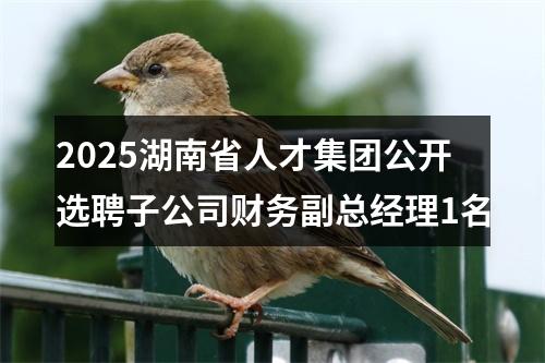2025湖南省人才集团公开选聘子公司财务副总经理1名 图片