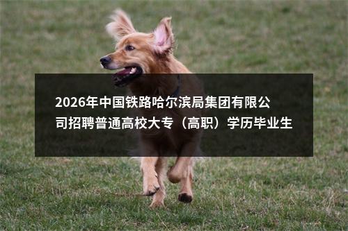 2026年中国铁路哈尔滨局集团有限公司招聘普通高校大专（高职）学历毕业生1568人公告（二） 图片