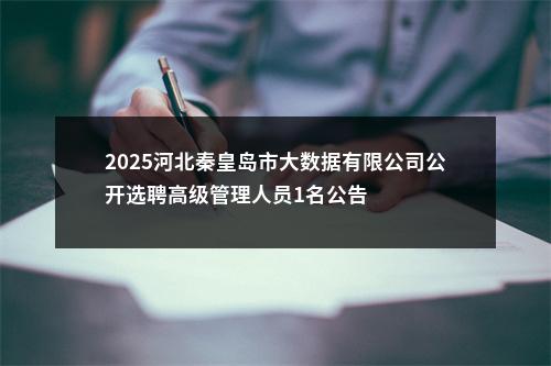 2025河北秦皇岛市大数据有限公司公开选聘高级管理人员1名公告 图片