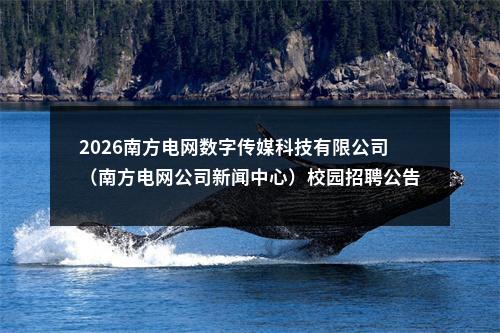 2026南方电网数字传媒科技有限公司（南方电网公司新闻中心）校园招聘公告 图片