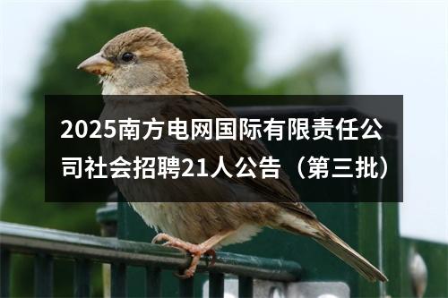 2025南方电网国际有限责任公司社会招聘21人公告（第三批） 图片