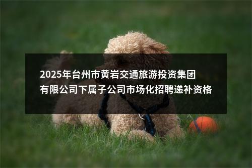 2025年台州市黄岩交通旅游投资集团有限公司下属子公司市场化招聘递补资格复审人员名单公告 图片