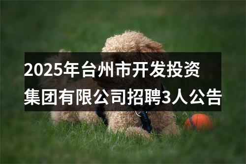 2025年台州市开发投资集团有限公司招聘3人公告 图片