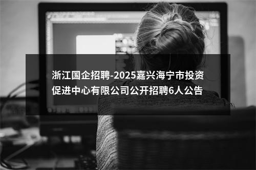 浙江国企招聘-2025嘉兴海宁市投资促进中心有限公司公开招聘6人公告 图片