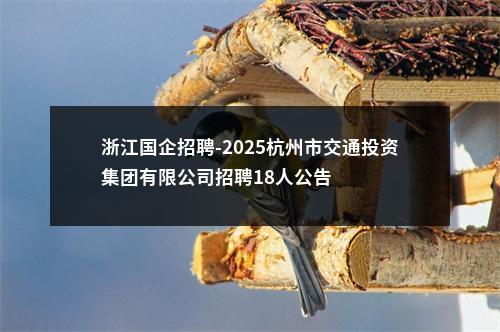 浙江国企招聘-2025杭州市交通投资集团有限公司招聘18人公告 图片