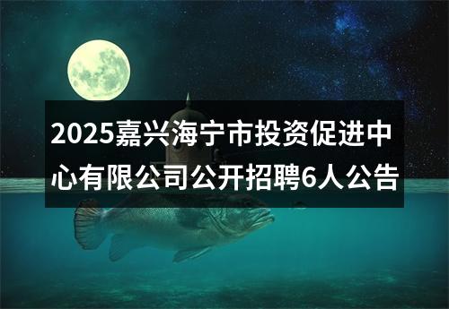 2025嘉兴海宁市投资促进中心有限公司公开招聘6人公告 图片